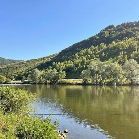 Gorgeous In With Wifi * 特里尔