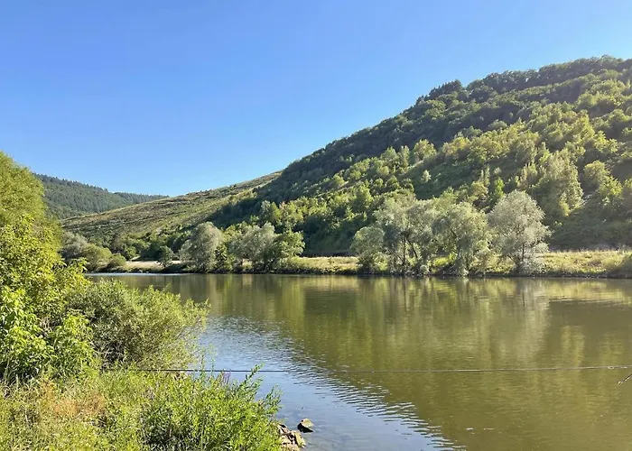 Gorgeous In With Wifi * Trier