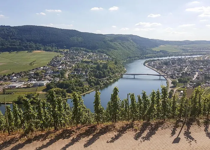 Gorgeous In With Wifi Apartament *