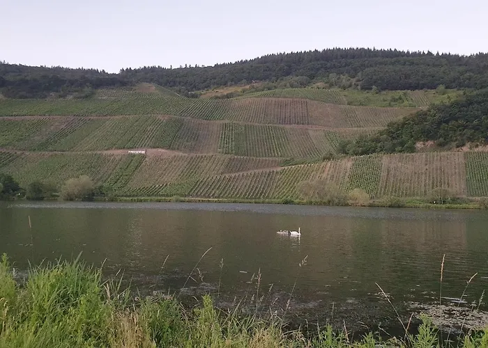 公寓 Gorgeous In With Wifi *