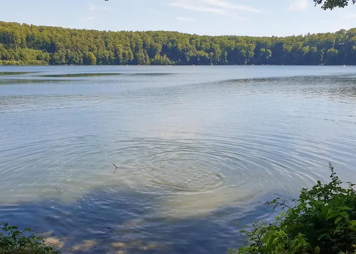 Gorgeous In With Wifi 特里尔